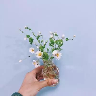 苍穹变腾讯版下载